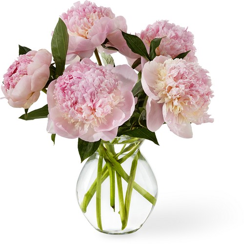 The FTD Pure Joy Spring Peonies